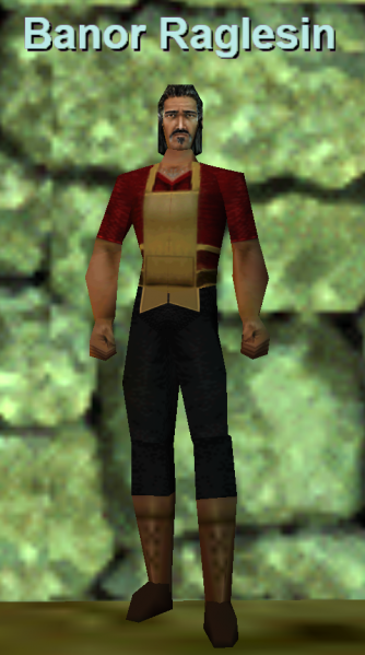 File:Npc banor raglesin.png