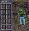 Thumbnail for version as of 04:21, 17 February 2012