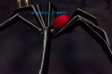 Npc lava duct crawler.png