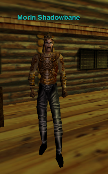 File:Npc morin shadowbane.png