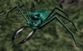 Thumbnail for version as of 15:30, 26 October 2013