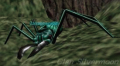 Thumbnail for version as of 15:33, 26 October 2013