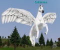 Thumbnail for version as of 16:54, 10 July 2020