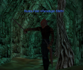 Thumbnail for version as of 11:54, 2 June 2018