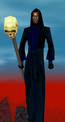 Sentry robe.png