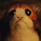 Staff-Rogean.png