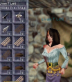 Thumbnail for version as of 21:58, 4 February 2012