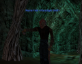 Thumbnail for version as of 11:52, 2 June 2018