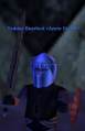 Thumbnail for version as of 09:09, 4 July 2020